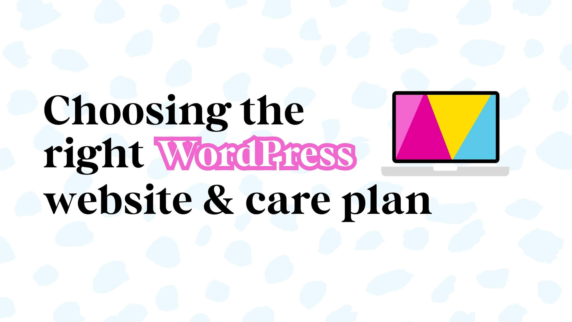 Choosing the right website care plan